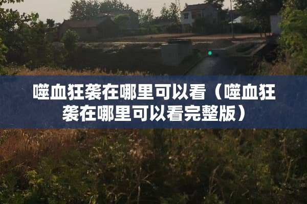 噬血狂袭在哪里可以看（噬血狂袭在哪里可以看完整版）