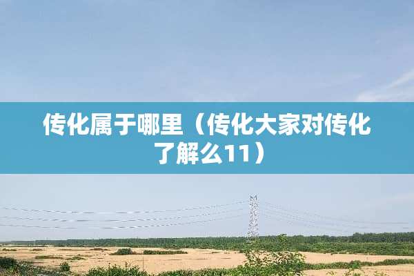 传化属于哪里（传化大家对传化了解么11）