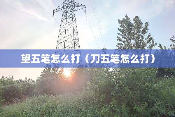 望五笔怎么打（刀五笔怎么打）
