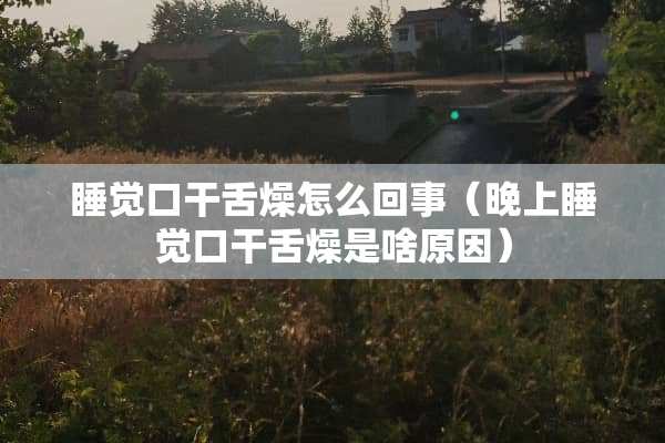 睡觉口干舌燥怎么回事（晚上睡觉口干舌燥是啥原因）
