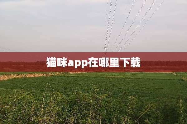 猫咪app在哪里下载