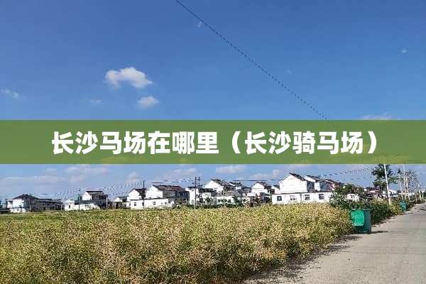 长沙马场在哪里（长沙骑马场）