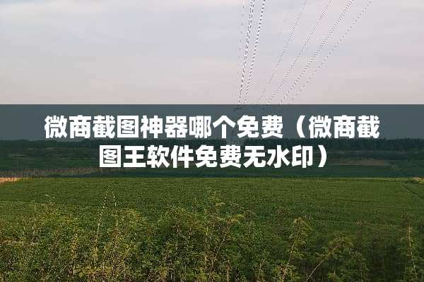 微商截图神器哪个免费（微商截图王软件免费无水印）