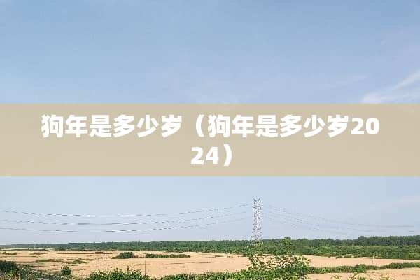狗年是多少岁（狗年是多少岁2024）