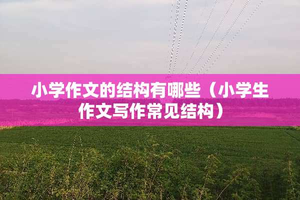 小学作文的结构有哪些（小学生作文写作常见结构）