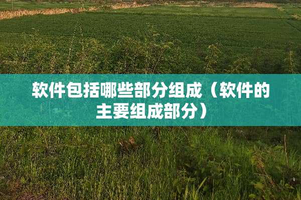 软件包括哪些部分组成（软件的主要组成部分）