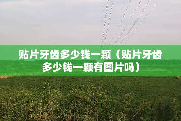 贴片牙齿多少钱一颗（贴片牙齿多少钱一颗有图片吗）