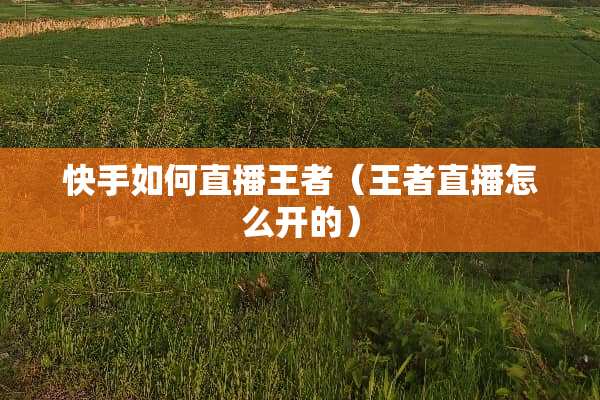 快手如何直播王者（王者直播怎么开的）