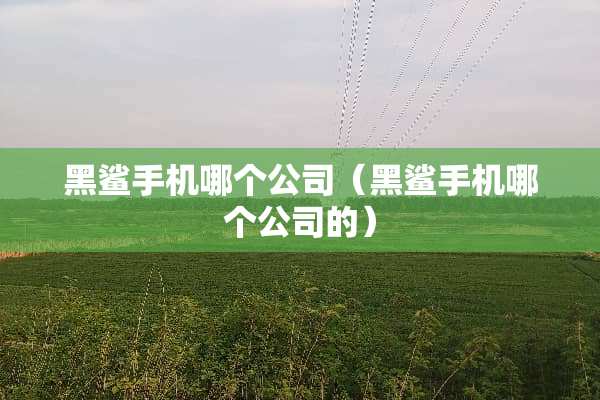 黑鲨手机哪个公司（黑鲨手机哪个公司的）