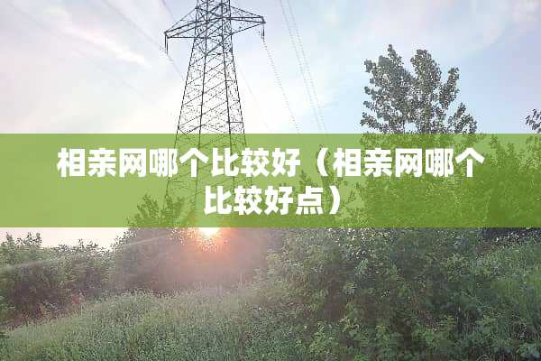 相亲网哪个比较好（相亲网哪个比较好点）