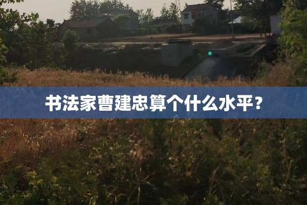 书法家曹建忠算个什么水平？