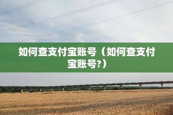 如何查支付宝账号（如何查支付宝账号?）