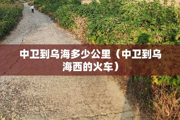 中卫到乌海多少公里（中卫到乌海西的火车）