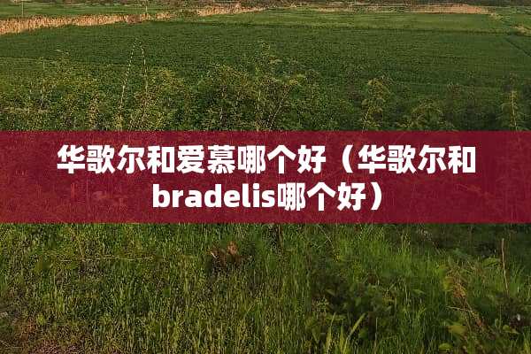 华歌尔和爱慕哪个好（华歌尔和bradelis哪个好）