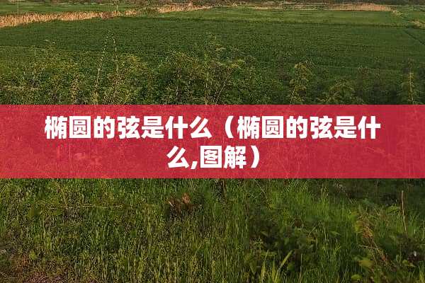 椭圆的弦是什么（椭圆的弦是什么,图解）