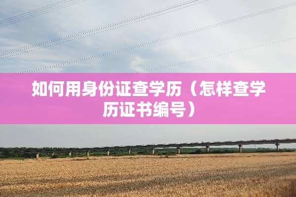 如何用***查学历（怎样查学历证书编号）