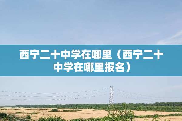 西宁二十中学在哪里（西宁二十中学在哪里报名）