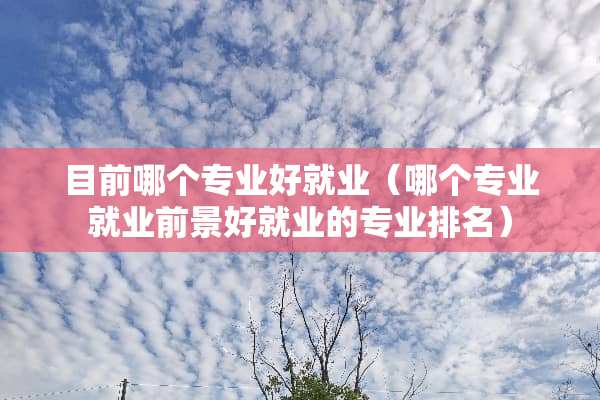 目前哪个专业好就业（哪个专业就业前景好就业的专业排名）