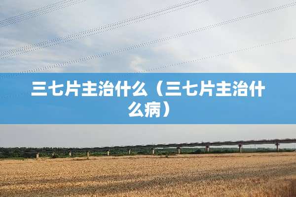 三七片主治什么（三七片主治什么病）