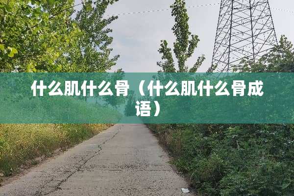 什么肌什么骨（什么肌什么骨成语）