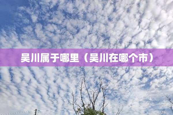 吴川属于哪里（吴川在哪个市）
