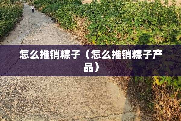 怎么推销粽子（怎么推销粽子产品）