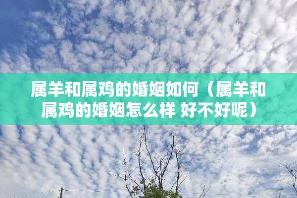 属羊和属鸡的婚姻如何（属羊和属鸡的婚姻怎么样 好不好呢）