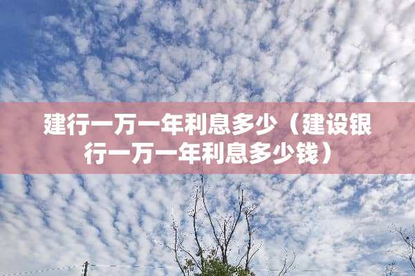 建行一万一年利息多少（建设银行一万一年利息多少钱）