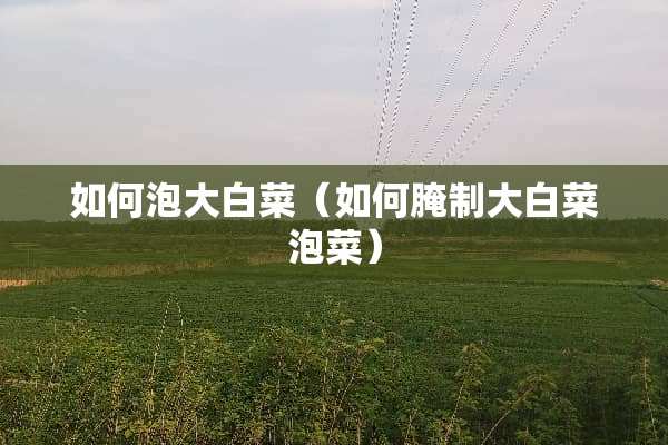 如何泡大白菜（如何腌制大白菜泡菜）