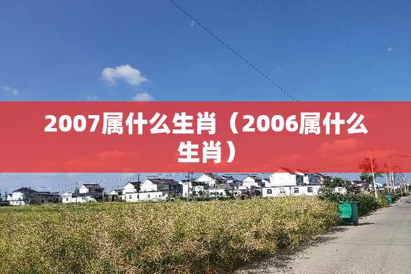 2007属什么生肖（2006属什么生肖）