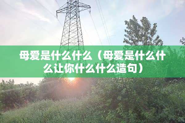 母爱是什么什么（母爱是什么什么让你什么什么造句）