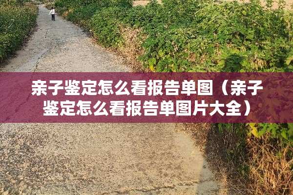 亲子鉴定怎么看报告单图（亲子鉴定怎么看报告单图片大全）