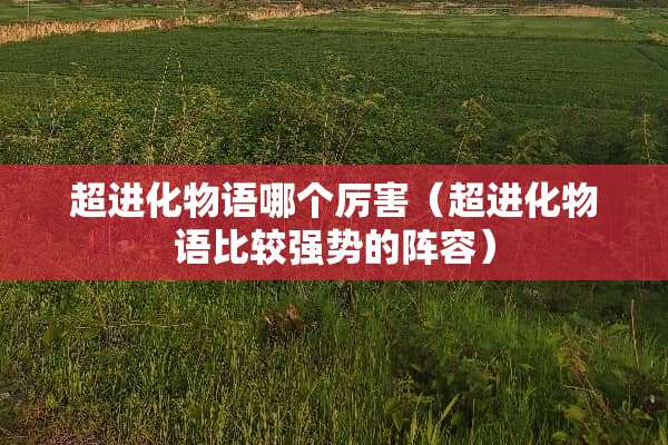 超进化物语哪个厉害（超进化物语比较强势的阵容）
