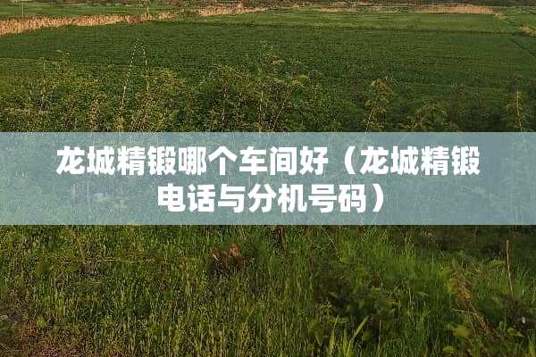 龙城精锻哪个车间好（龙城精锻电话与分机号码）