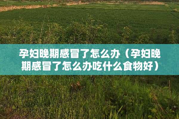 孕妇晚期感冒了怎么办（孕妇晚期感冒了怎么办吃什么食物好）