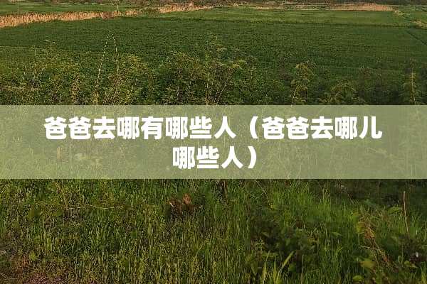 爸爸去哪有哪些人（爸爸去哪儿哪些人）