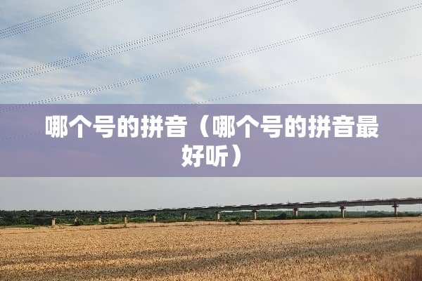 哪个号的拼音（哪个号的拼音最好听）