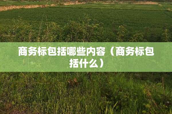 商务标包括哪些内容（商务标包括什么）