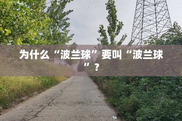 为什么“波兰球”要叫“波兰球”？