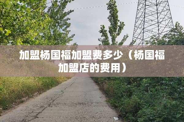 加盟杨国福加盟费多少（杨国福加盟店的费用）