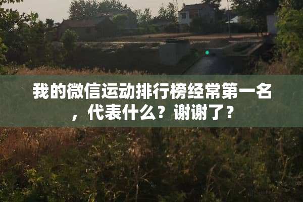 我的微信运动排行榜经常第一名，代表什么？谢谢了？