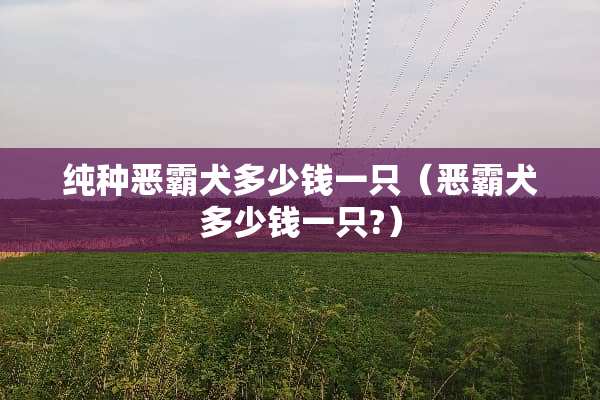 纯种恶霸犬多少钱一只（恶霸犬多少钱一只?）