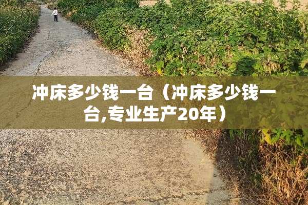 冲床多少钱一台（冲床多少钱一台,专业生产20年）