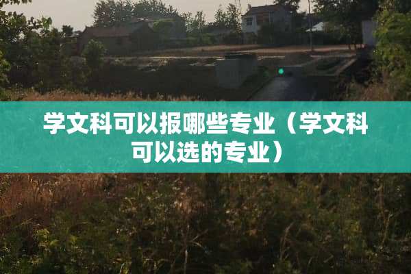学文科可以报哪些专业（学文科可以选的专业）