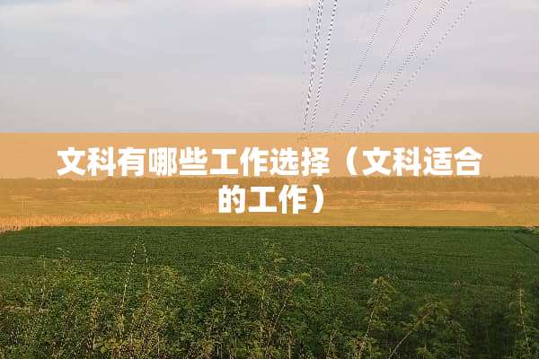 文科有哪些工作选择（文科适合的工作）