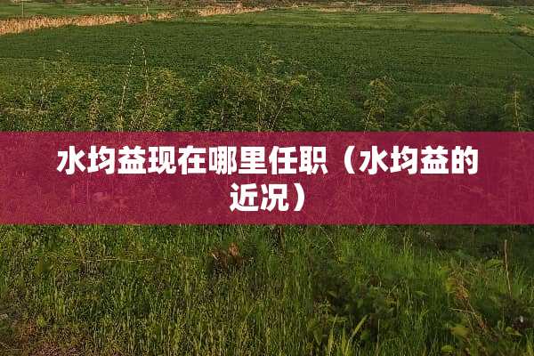 水均益现在哪里任职（水均益的近况）