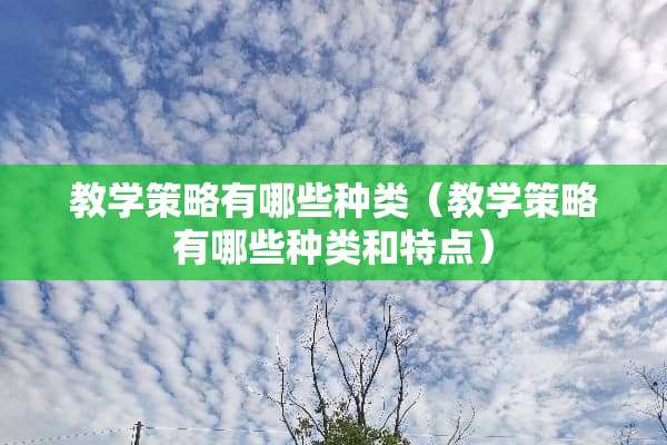 教学策略有哪些种类（教学策略有哪些种类和特点）