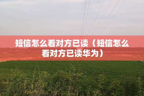 短信怎么看对方已读（短信怎么看对方已读华为）
