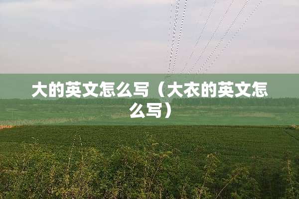大的英文怎么写（大衣的英文怎么写）