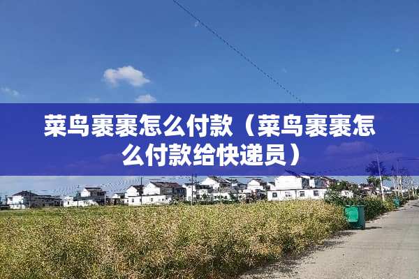 菜鸟裹裹怎么付款（菜鸟裹裹怎么付款给快递员）